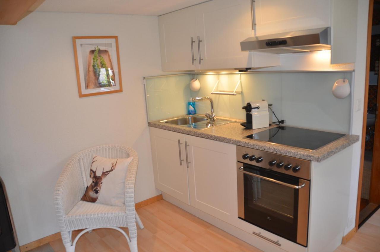 Fluehblueemli Apartment Гринделвалд Екстериор снимка